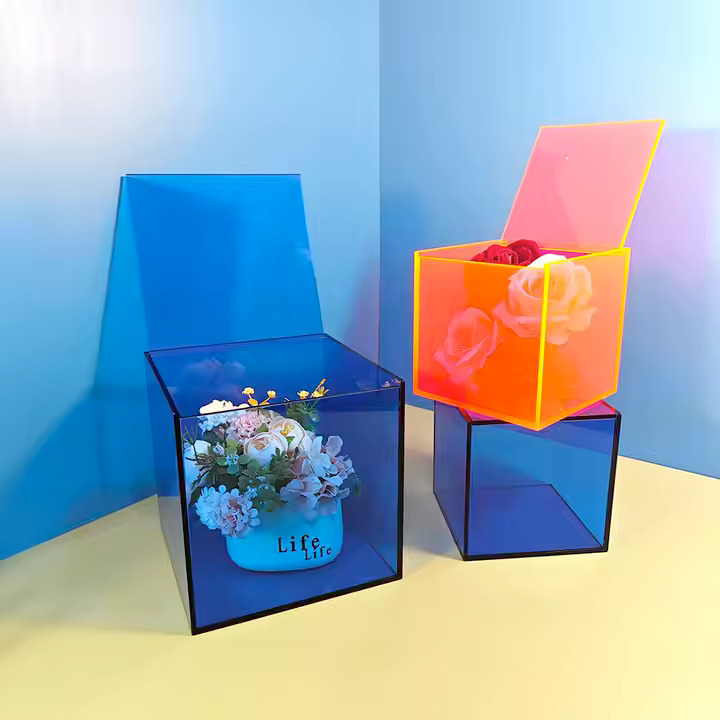 WhatsApp Image 2025-02-22 at 5.19.19 PM